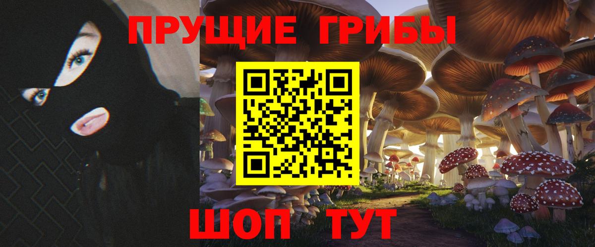 Галлюциногенные грибы Cubensis Чернушка