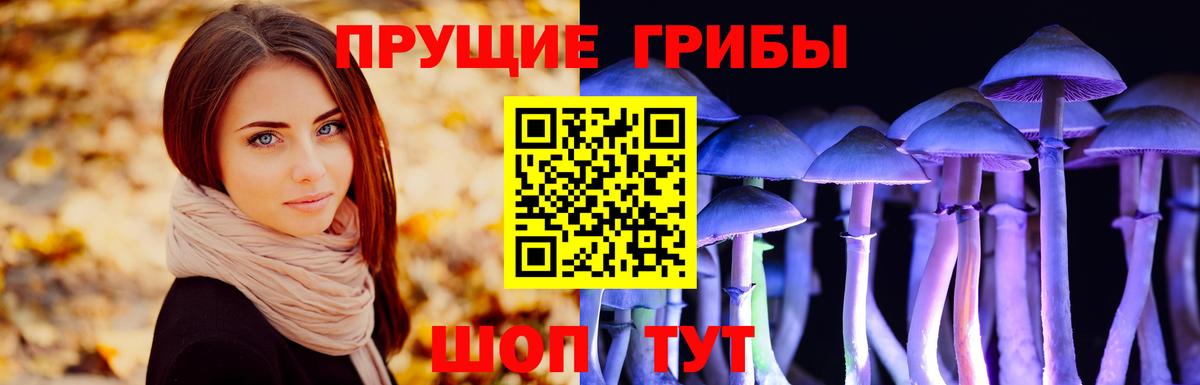 Чернушка  Псилоцибиновые грибы Magic Shrooms  Вход с VPN 